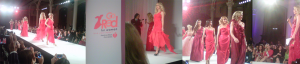 Go Red Dress Fashion Show